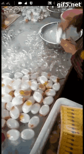 五月朋友圈谣言出炉！你中招了吗？531 / 作者:登山涉水 / 帖子ID:261502