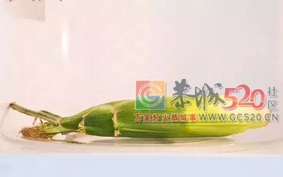 剥鸡蛋、剥板栗、剥水果……5秒搞定！这些方法实在是妙941 / 作者:登山涉水 / 帖子ID:261503