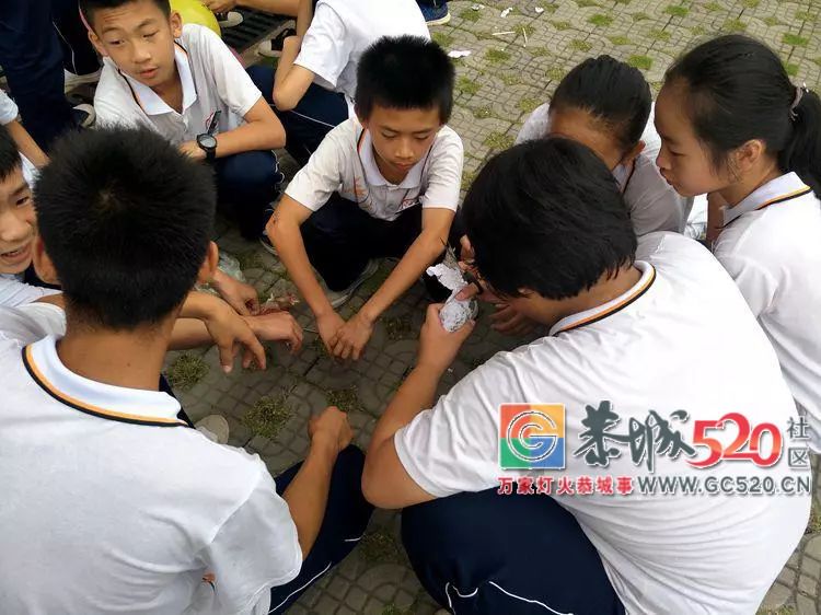 注意！一种叫“水火箭”的东西在恭城这所学校里悄然流行！89 / 作者:茶江余晖 / 帖子ID:261510