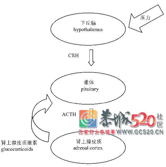 同样是 8 小时，10 点睡真的比 2 点睡要健康吗？8 / 作者:登山涉水 / 帖子ID:261526