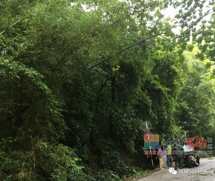 雨天路滑！西岭同一时间段发生两起车祸，这些一定要知道…188 / 作者:登山涉水 / 帖子ID:261528