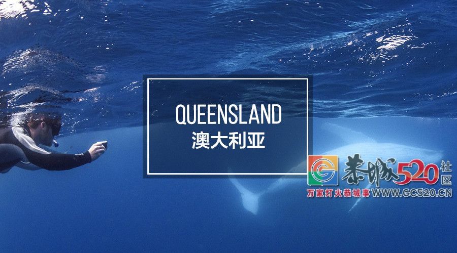 &#8203;澳大利亚昆士兰｜盛夏，去南半球遇鲸鱼863 / 作者:对岸烽火 / 帖子ID:261538
