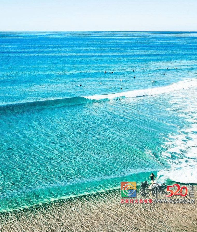 &#8203;澳大利亚昆士兰｜盛夏，去南半球遇鲸鱼787 / 作者:对岸烽火 / 帖子ID:261538