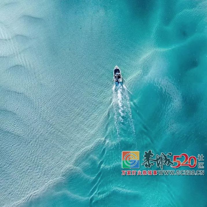 &#8203;澳大利亚昆士兰｜盛夏，去南半球遇鲸鱼890 / 作者:对岸烽火 / 帖子ID:261538