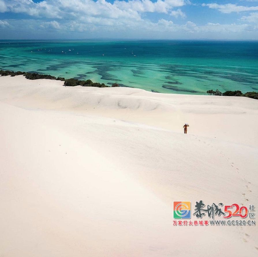 &#8203;澳大利亚昆士兰｜盛夏，去南半球遇鲸鱼232 / 作者:对岸烽火 / 帖子ID:261538