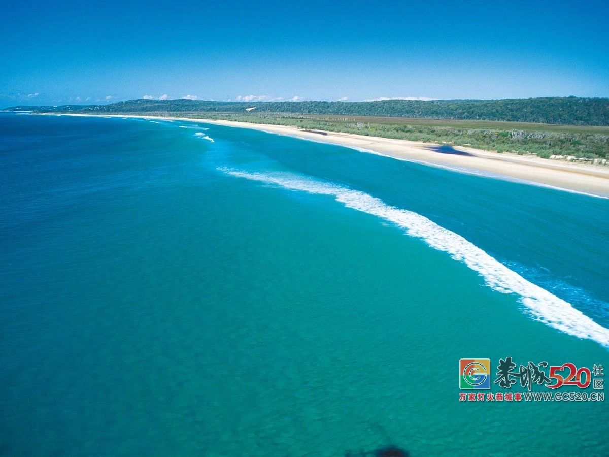 &#8203;澳大利亚昆士兰｜盛夏，去南半球遇鲸鱼292 / 作者:对岸烽火 / 帖子ID:261538