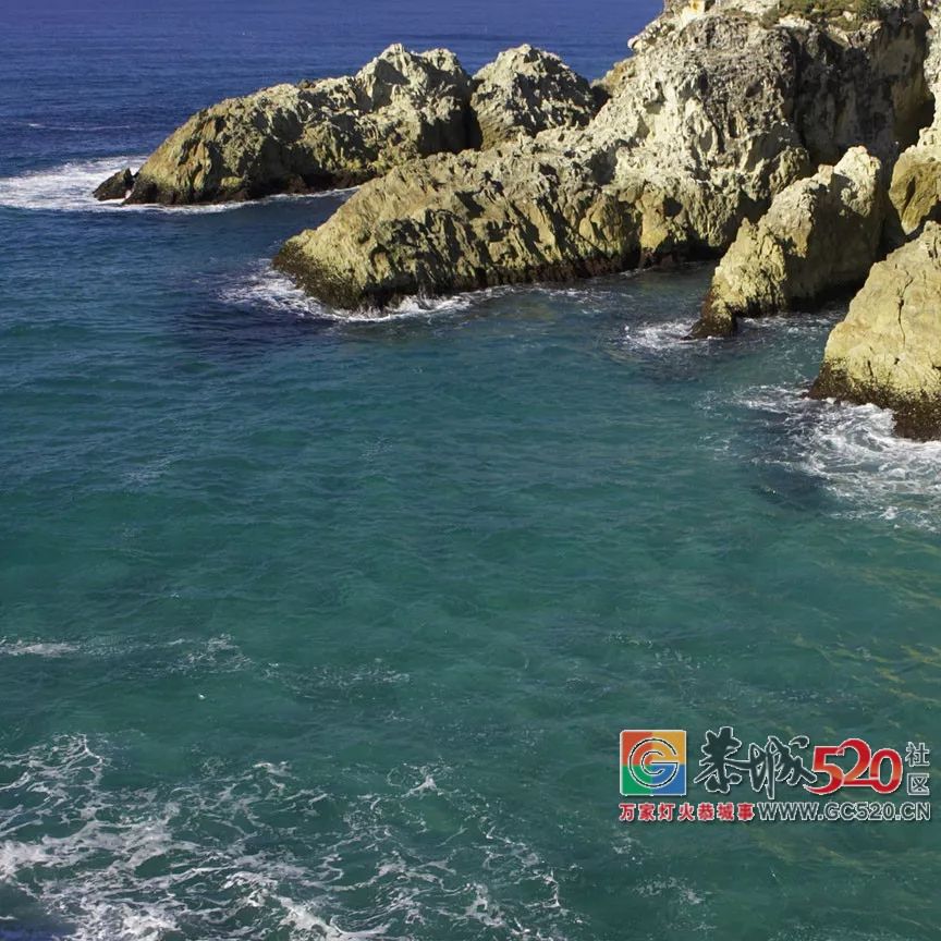 &#8203;澳大利亚昆士兰｜盛夏，去南半球遇鲸鱼395 / 作者:对岸烽火 / 帖子ID:261538