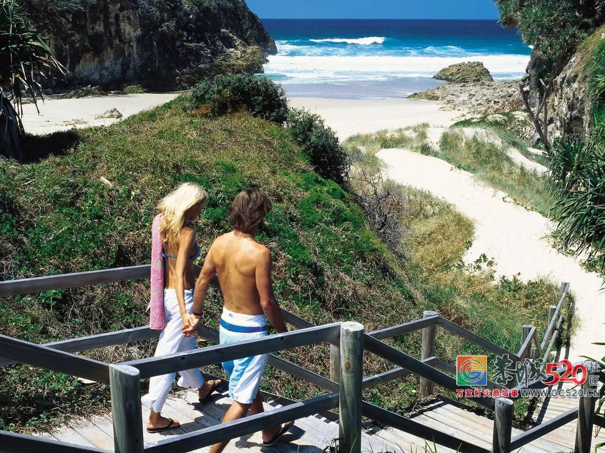 &#8203;澳大利亚昆士兰｜盛夏，去南半球遇鲸鱼170 / 作者:对岸烽火 / 帖子ID:261538