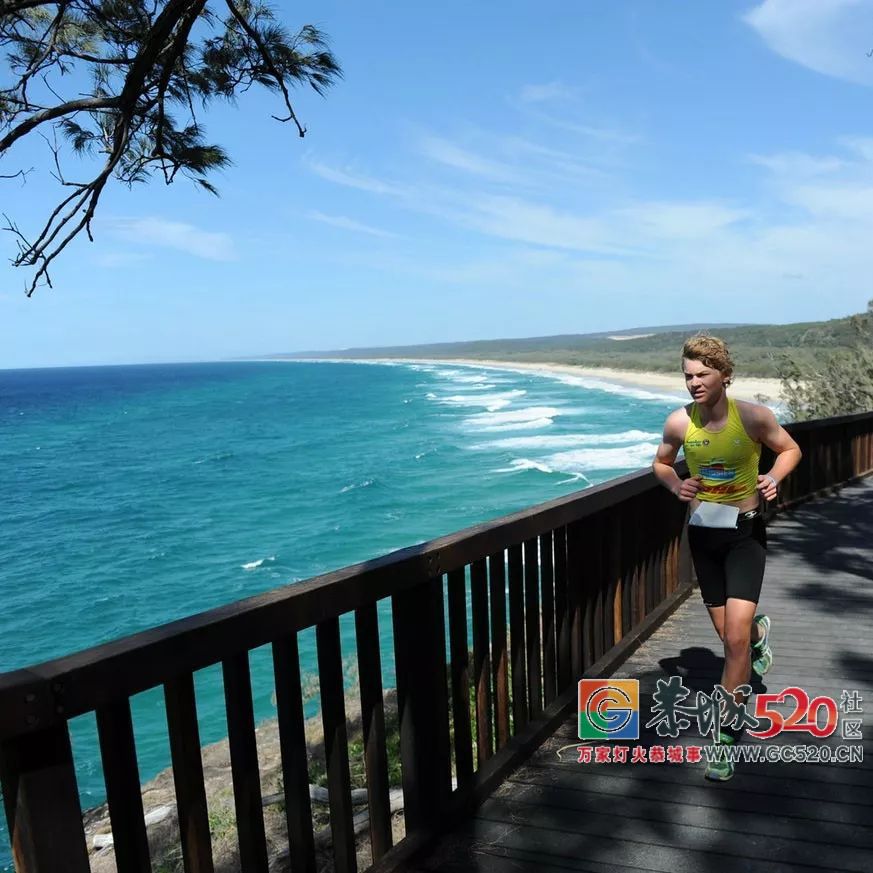 &#8203;澳大利亚昆士兰｜盛夏，去南半球遇鲸鱼42 / 作者:对岸烽火 / 帖子ID:261538