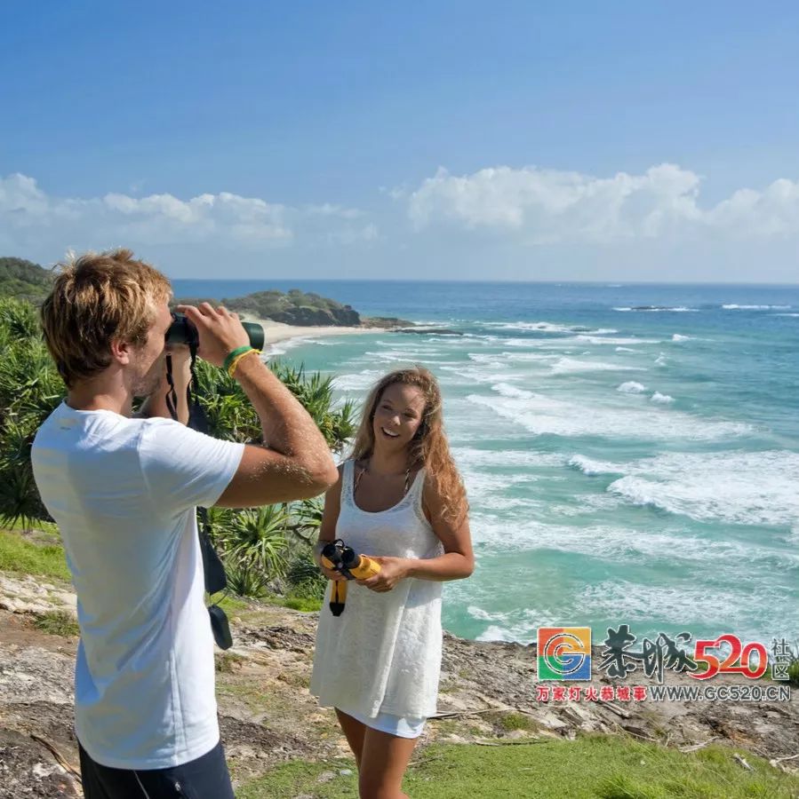 &#8203;澳大利亚昆士兰｜盛夏，去南半球遇鲸鱼209 / 作者:对岸烽火 / 帖子ID:261538