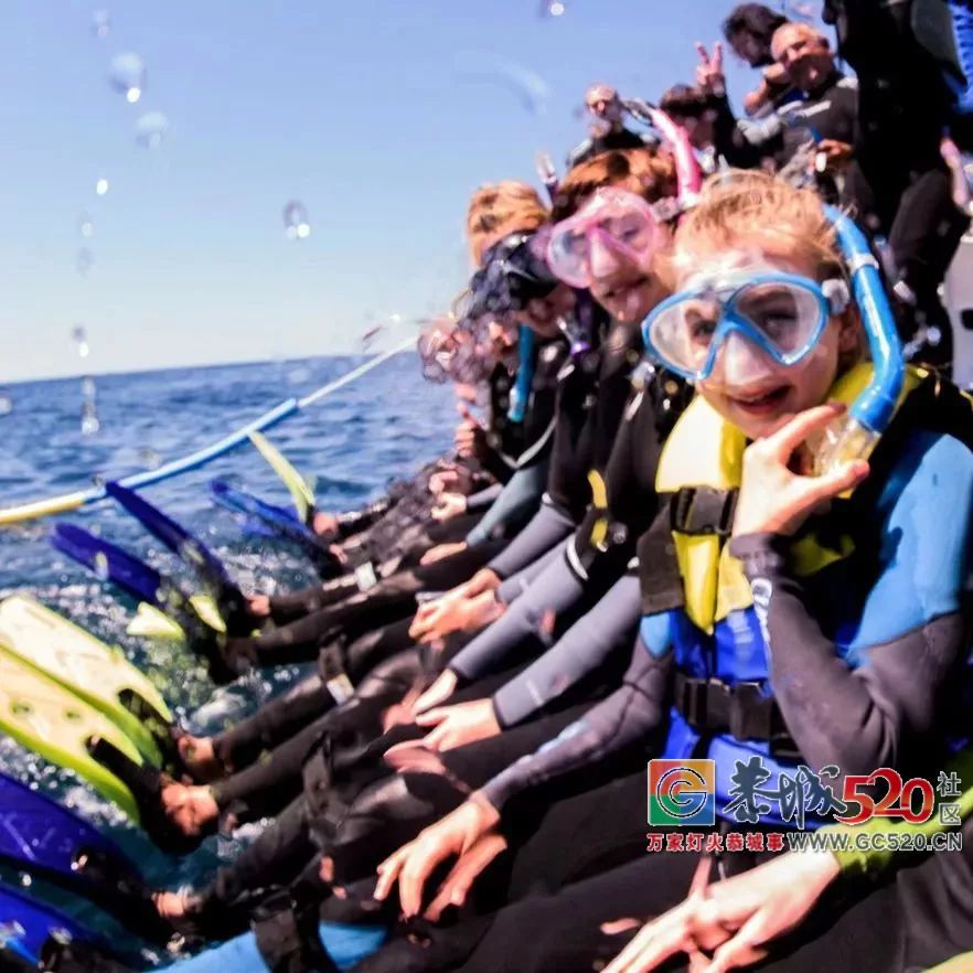 &#8203;澳大利亚昆士兰｜盛夏，去南半球遇鲸鱼450 / 作者:对岸烽火 / 帖子ID:261538