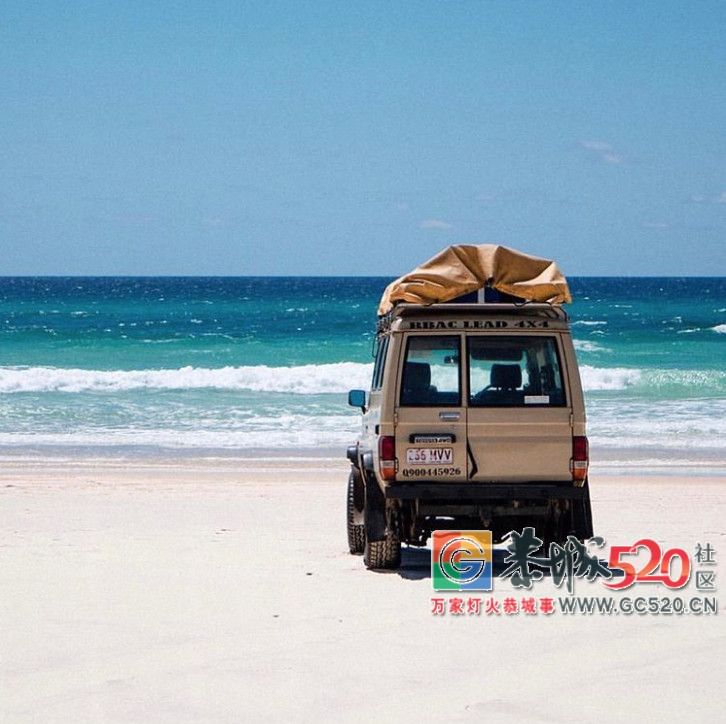 &#8203;澳大利亚昆士兰｜盛夏，去南半球遇鲸鱼284 / 作者:对岸烽火 / 帖子ID:261538