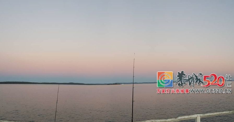 &#8203;澳大利亚昆士兰｜盛夏，去南半球遇鲸鱼996 / 作者:对岸烽火 / 帖子ID:261538