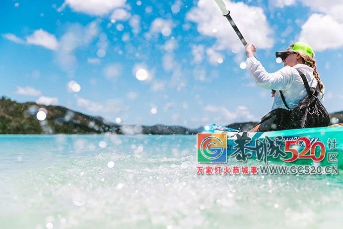 &#8203;澳大利亚昆士兰｜盛夏，去南半球遇鲸鱼697 / 作者:对岸烽火 / 帖子ID:261538