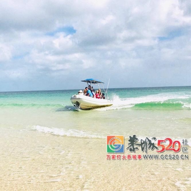 &#8203;澳大利亚昆士兰｜盛夏，去南半球遇鲸鱼19 / 作者:对岸烽火 / 帖子ID:261538