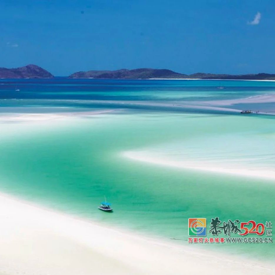 &#8203;澳大利亚昆士兰｜盛夏，去南半球遇鲸鱼382 / 作者:对岸烽火 / 帖子ID:261538