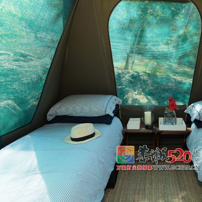 &#8203;澳大利亚昆士兰｜盛夏，去南半球遇鲸鱼967 / 作者:对岸烽火 / 帖子ID:261538