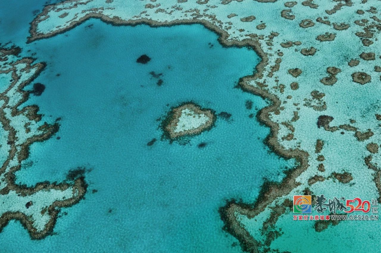 &#8203;澳大利亚昆士兰｜盛夏，去南半球遇鲸鱼151 / 作者:对岸烽火 / 帖子ID:261538