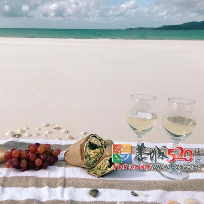 &#8203;澳大利亚昆士兰｜盛夏，去南半球遇鲸鱼412 / 作者:对岸烽火 / 帖子ID:261538