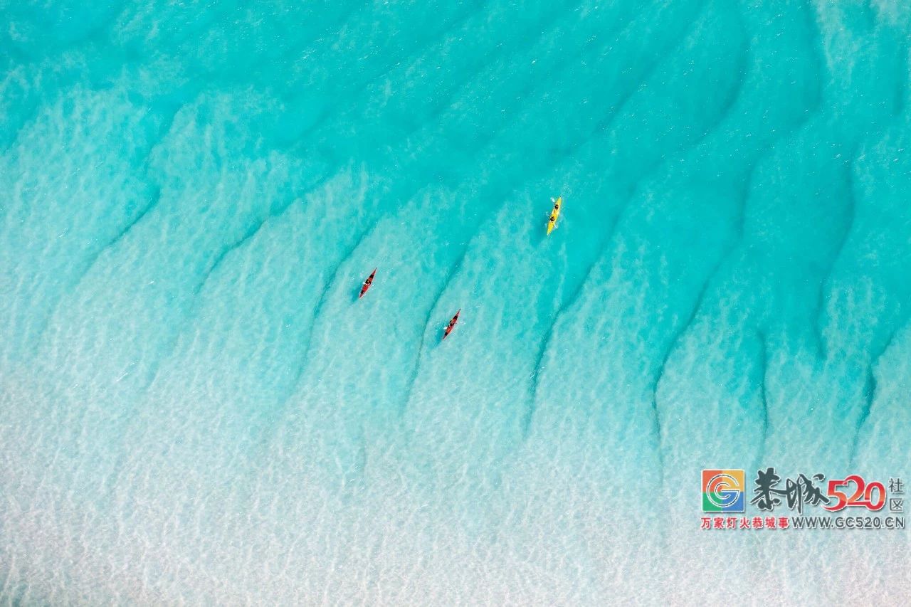 &#8203;澳大利亚昆士兰｜盛夏，去南半球遇鲸鱼941 / 作者:对岸烽火 / 帖子ID:261538