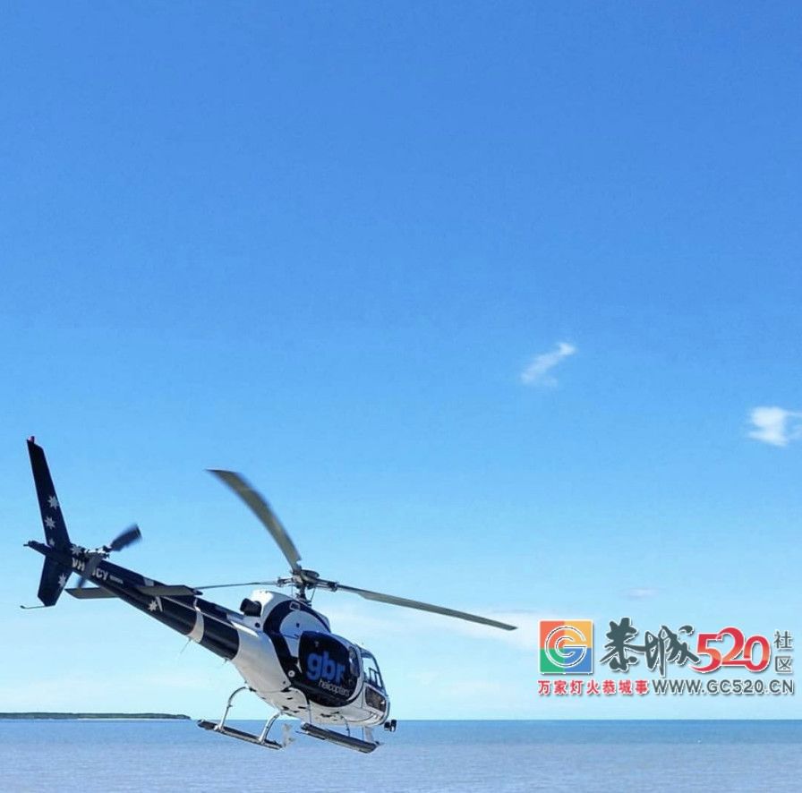 &#8203;澳大利亚昆士兰｜盛夏，去南半球遇鲸鱼10 / 作者:对岸烽火 / 帖子ID:261538