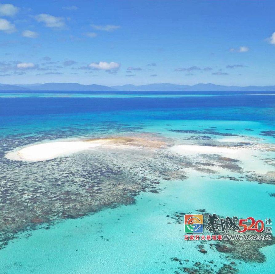 &#8203;澳大利亚昆士兰｜盛夏，去南半球遇鲸鱼1000 / 作者:对岸烽火 / 帖子ID:261538