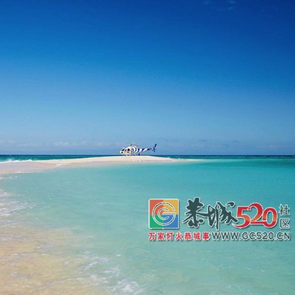 &#8203;澳大利亚昆士兰｜盛夏，去南半球遇鲸鱼485 / 作者:对岸烽火 / 帖子ID:261538