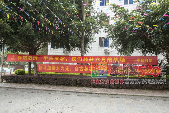 高考前一天，恭城流出一段视频...满满的期待与祝福！560 / 作者:对岸烽火 / 帖子ID:261543