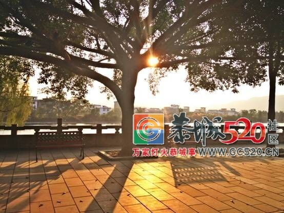 这是我11次想逃离恭城，7次想离职，33次想离婚：余生很长，何必慌张835 / 作者:分叉路口 / 帖子ID:261555