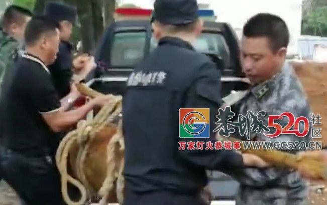 稀奇！桂林一学校地下竟挖一枚巨型炸弹，腿都吓软了323 / 作者:流浪者 / 帖子ID:261648