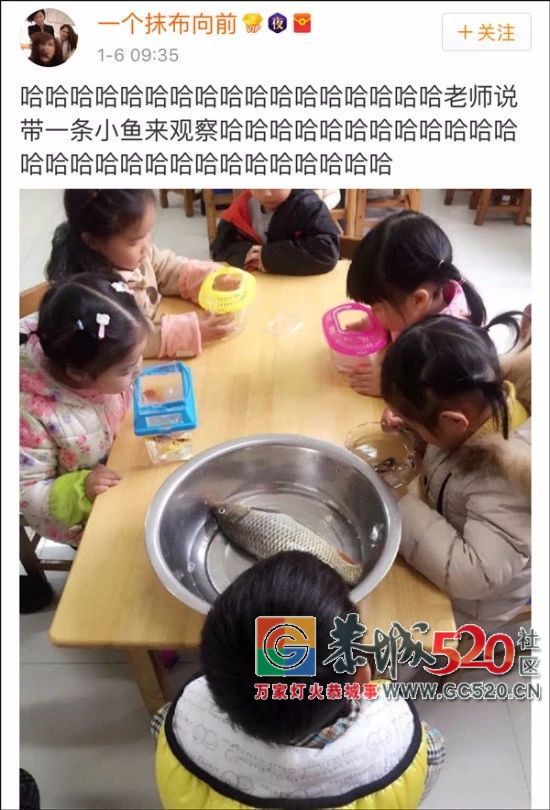 我的盖世英雄，原来是你575 / 作者:花开似花落、 / 帖子ID:261658