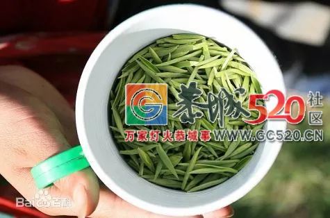 每种肉都有茶搭档，你知道吗？807 / 作者:油茶小弟 / 帖子ID:261662