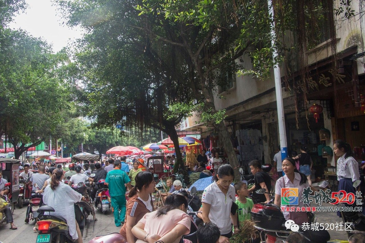 药”香端午，相约茶城丨又是一年端午时，怎么能错过恭城的药市？694 / 作者:分类小编 / 帖子ID:261670