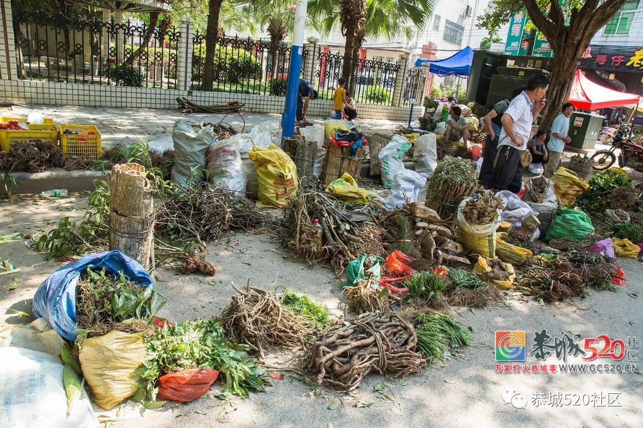 药”香端午，相约茶城丨又是一年端午时，怎么能错过恭城的药市？37 / 作者:分类小编 / 帖子ID:261670