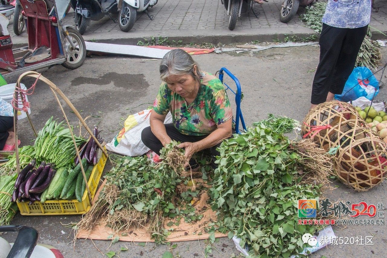 药”香端午，相约茶城丨又是一年端午时，怎么能错过恭城的药市？812 / 作者:分类小编 / 帖子ID:261670
