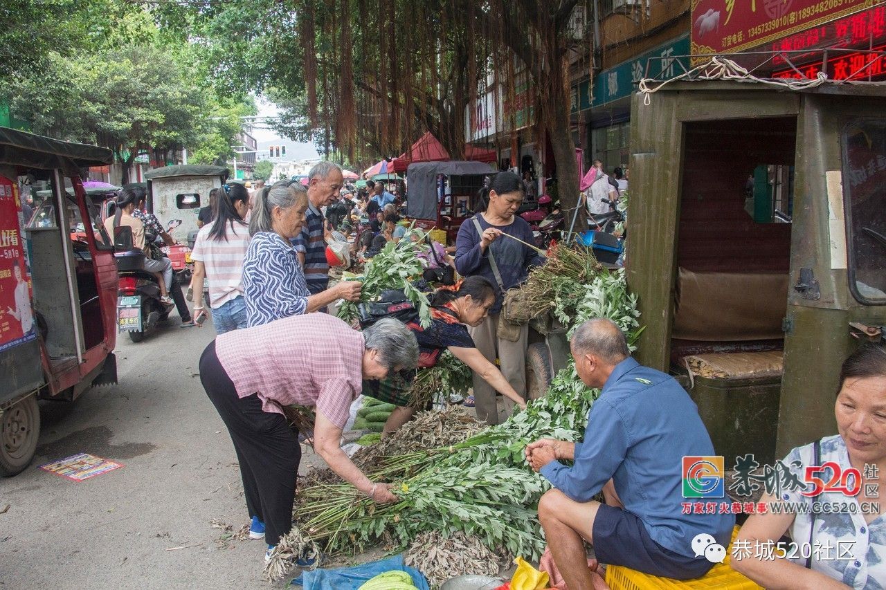 药”香端午，相约茶城丨又是一年端午时，怎么能错过恭城的药市？231 / 作者:分类小编 / 帖子ID:261670