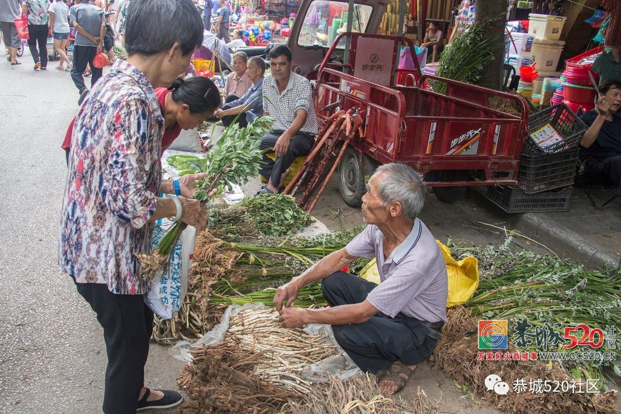 药”香端午，相约茶城丨又是一年端午时，怎么能错过恭城的药市？537 / 作者:分类小编 / 帖子ID:261670