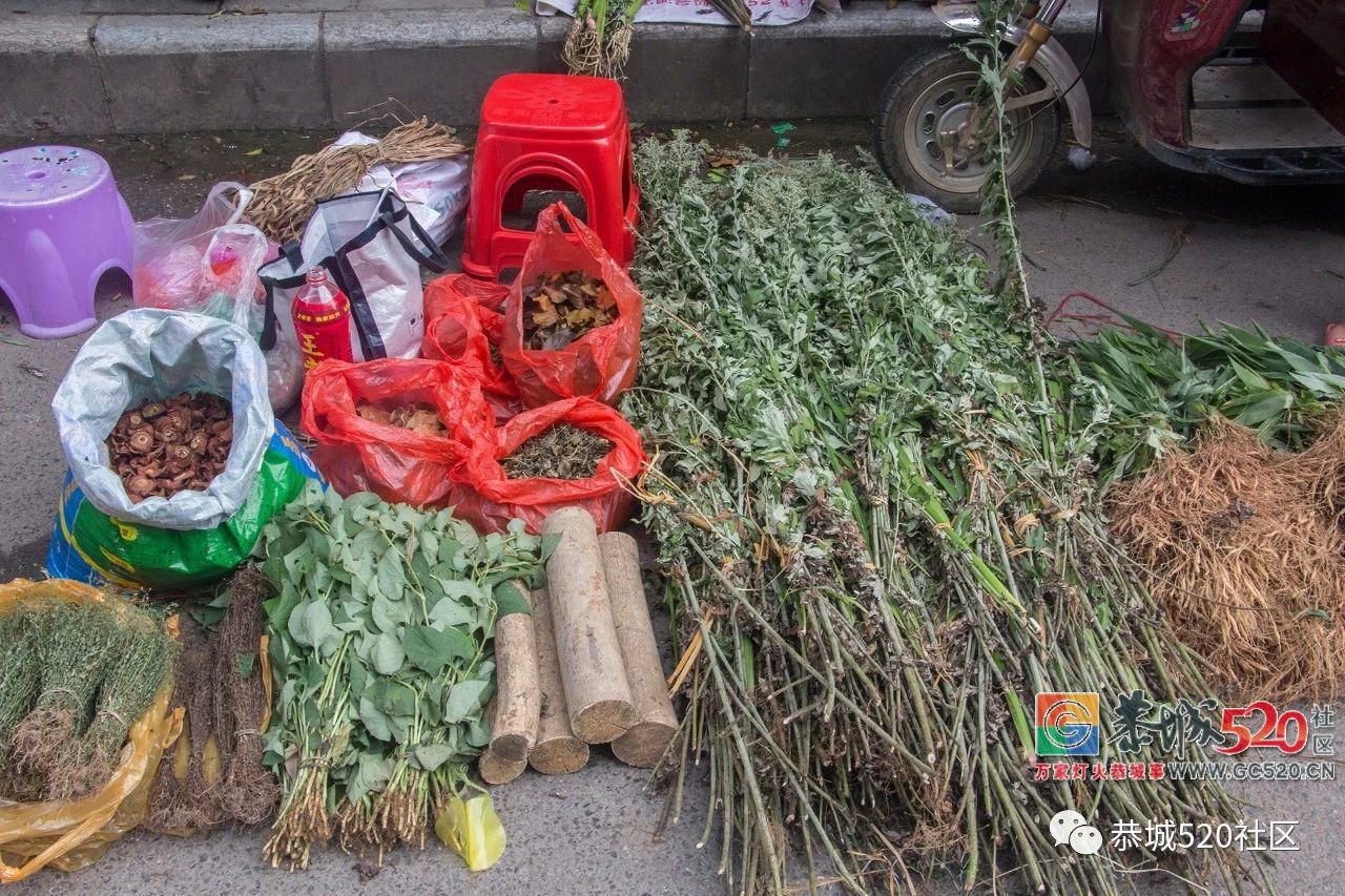 药”香端午，相约茶城丨又是一年端午时，怎么能错过恭城的药市？591 / 作者:分类小编 / 帖子ID:261670