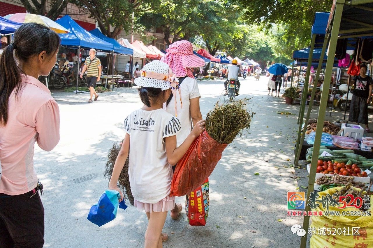 药”香端午，相约茶城丨又是一年端午时，怎么能错过恭城的药市？519 / 作者:分类小编 / 帖子ID:261670