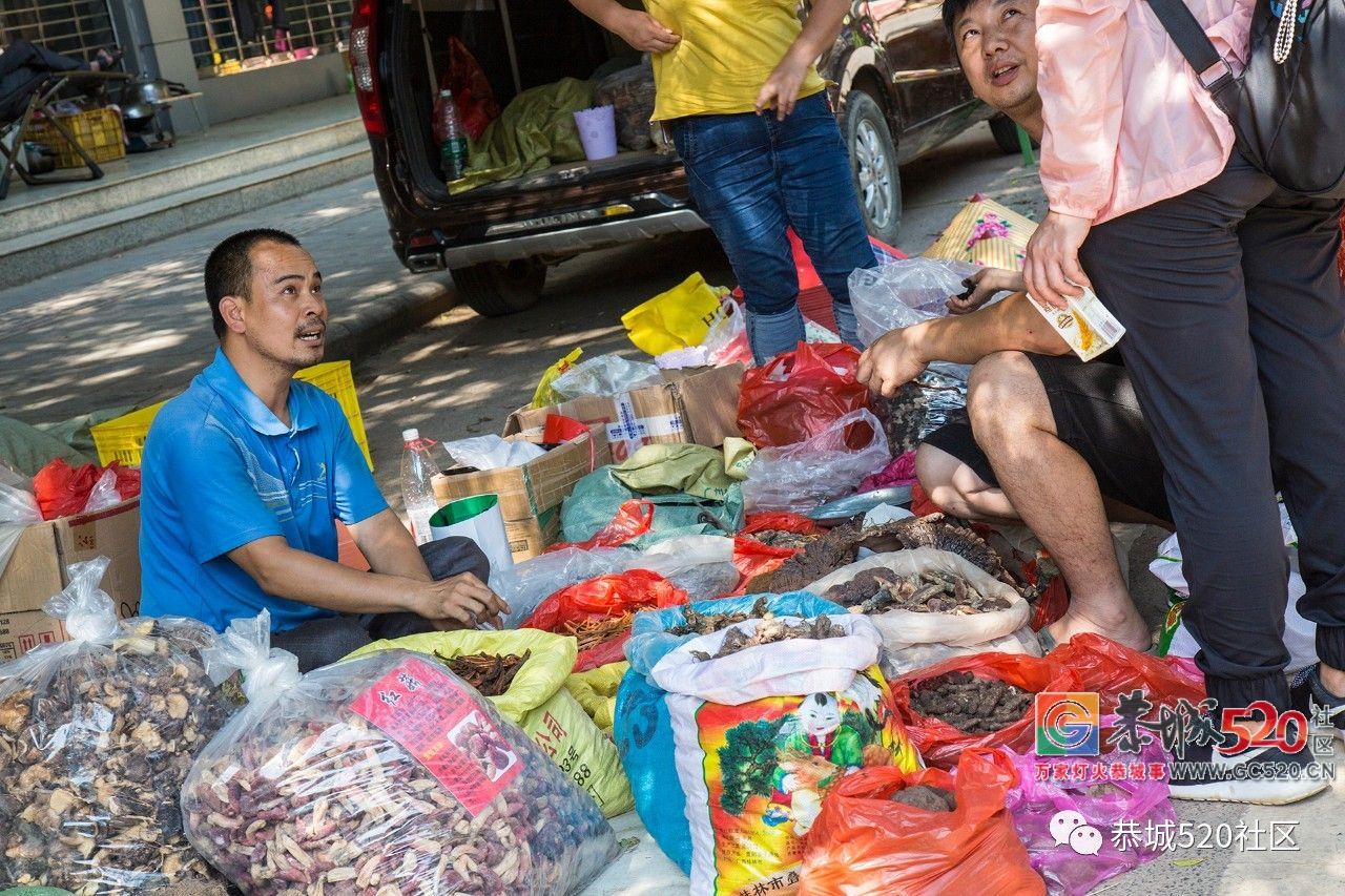 药”香端午，相约茶城丨又是一年端午时，怎么能错过恭城的药市？964 / 作者:分类小编 / 帖子ID:261670