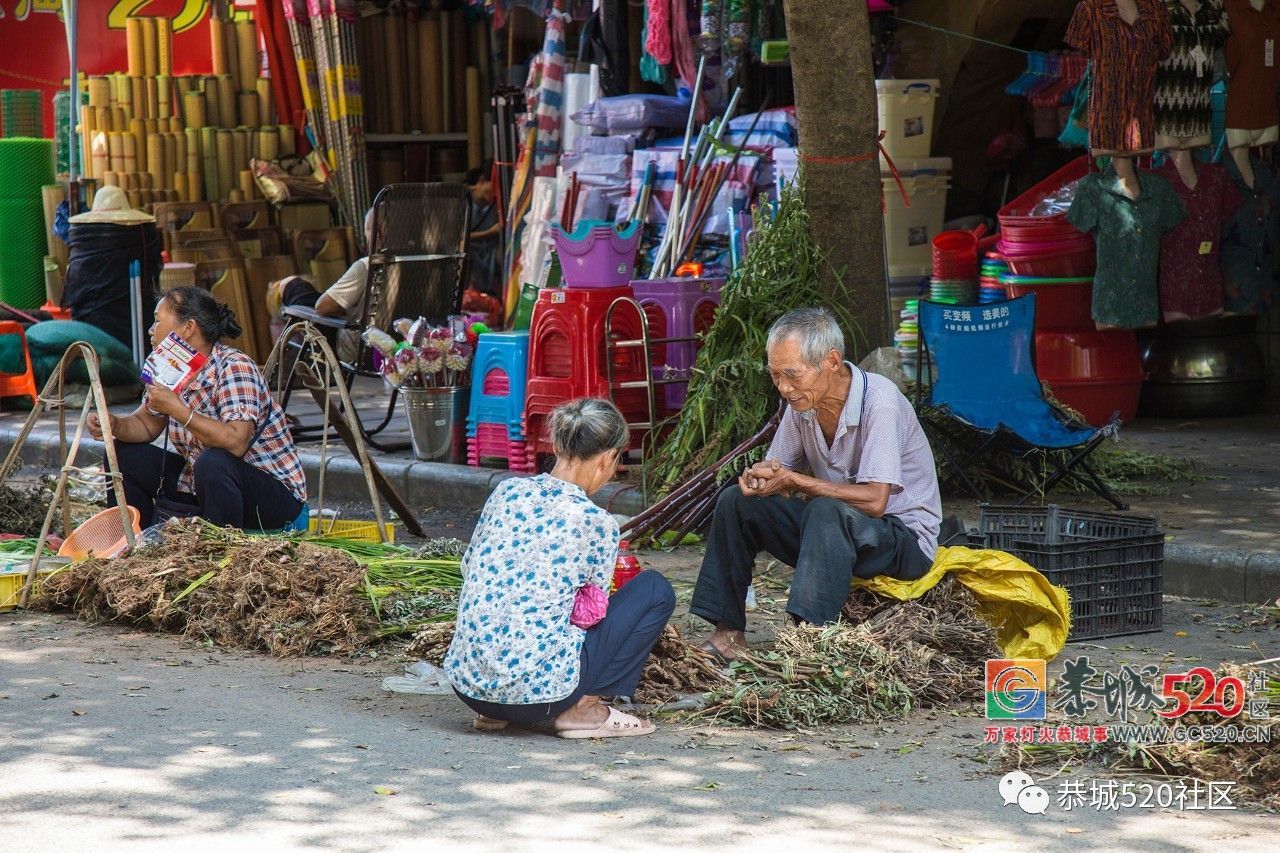 药”香端午，相约茶城丨又是一年端午时，怎么能错过恭城的药市？452 / 作者:分类小编 / 帖子ID:261670
