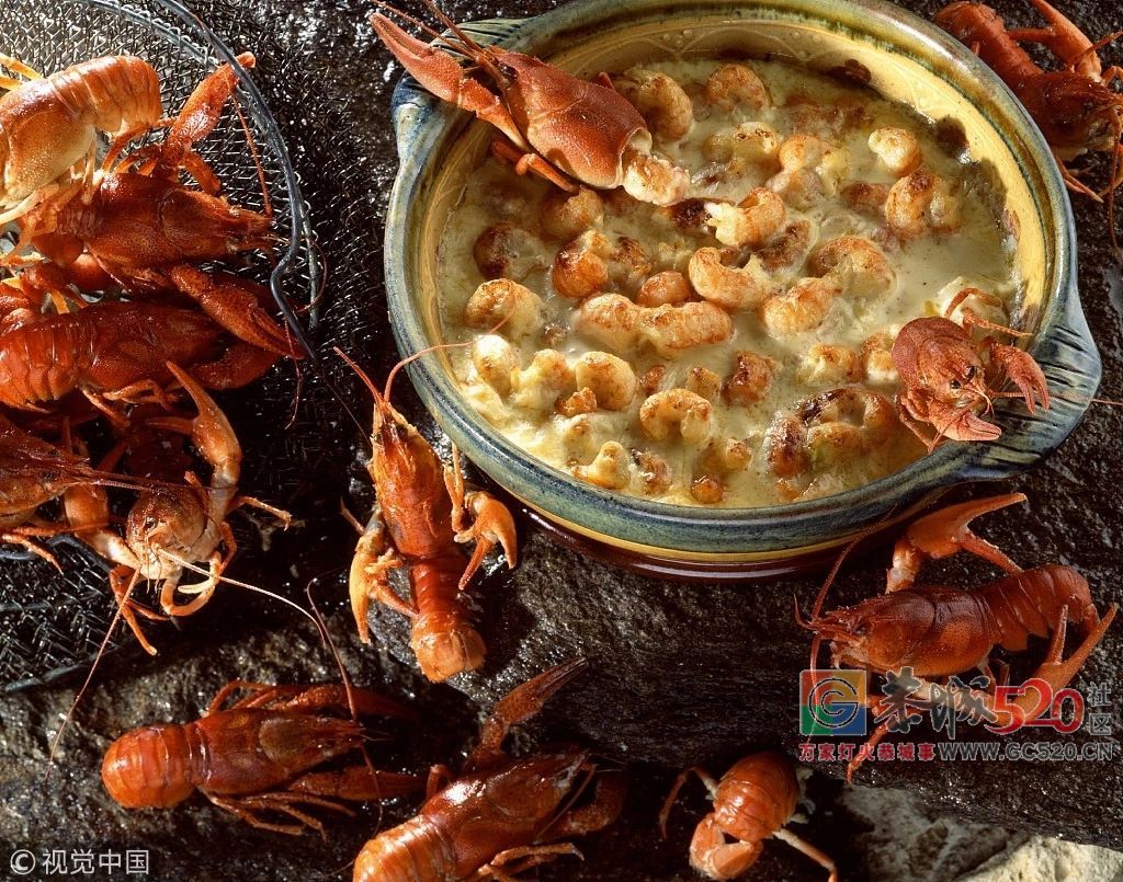 让吃货们又爱又恨的小龙虾，拿到了世界杯“门票”！330 / 作者:茶江余晖 / 帖子ID:261678