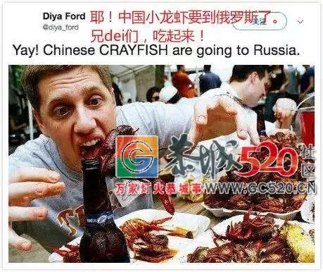 让吃货们又爱又恨的小龙虾，拿到了世界杯“门票”！485 / 作者:茶江余晖 / 帖子ID:261678