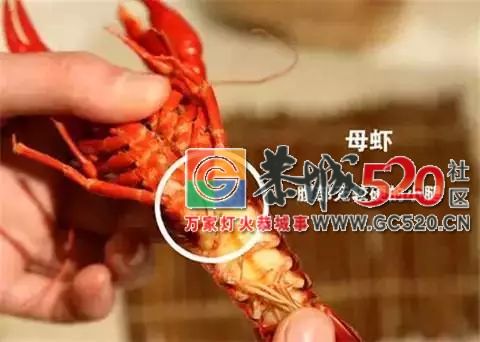 让吃货们又爱又恨的小龙虾，拿到了世界杯“门票”！811 / 作者:茶江余晖 / 帖子ID:261678