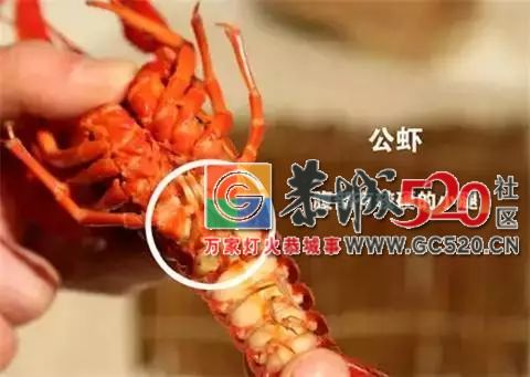 让吃货们又爱又恨的小龙虾，拿到了世界杯“门票”！924 / 作者:茶江余晖 / 帖子ID:261678