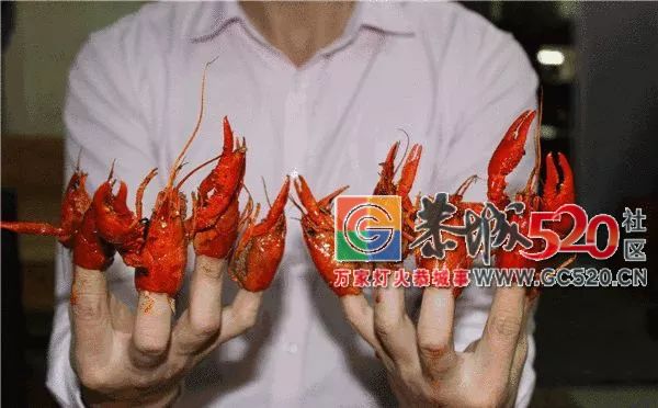 让吃货们又爱又恨的小龙虾，拿到了世界杯“门票”！43 / 作者:茶江余晖 / 帖子ID:261678