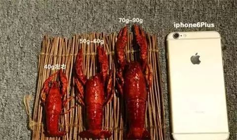 让吃货们又爱又恨的小龙虾，拿到了世界杯“门票”！941 / 作者:茶江余晖 / 帖子ID:261678