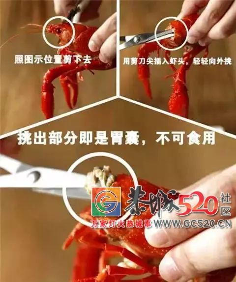 让吃货们又爱又恨的小龙虾，拿到了世界杯“门票”！846 / 作者:茶江余晖 / 帖子ID:261678