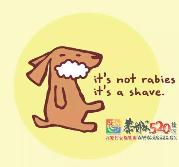 别再乱用这些偏方了，给你最专业的日常小伤处理指南929 / 作者:分叉路口 / 帖子ID:261688