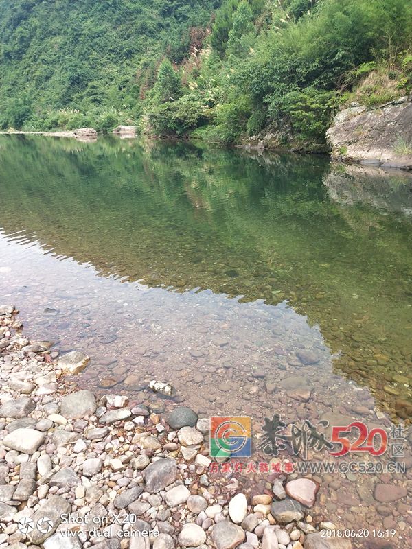 没有公德心！加会水油炸被扔得一地垃圾！850 / 作者:红花绿叶 / 帖子ID:261691